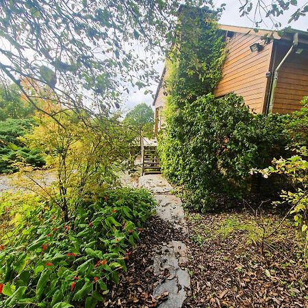 Woodstone Villa Herbeumont Ngoại thất bức ảnh